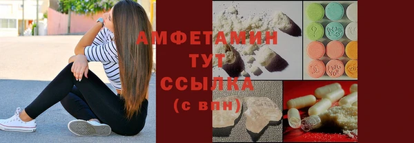 молекула духа Снежинск