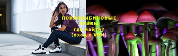 молекула духа Снежинск