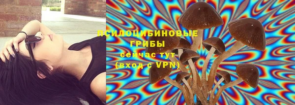 марки nbome Верхний Тагил
