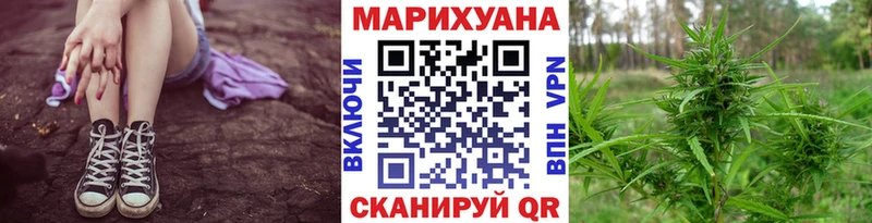 Марихуана конопля  Новодвинск 